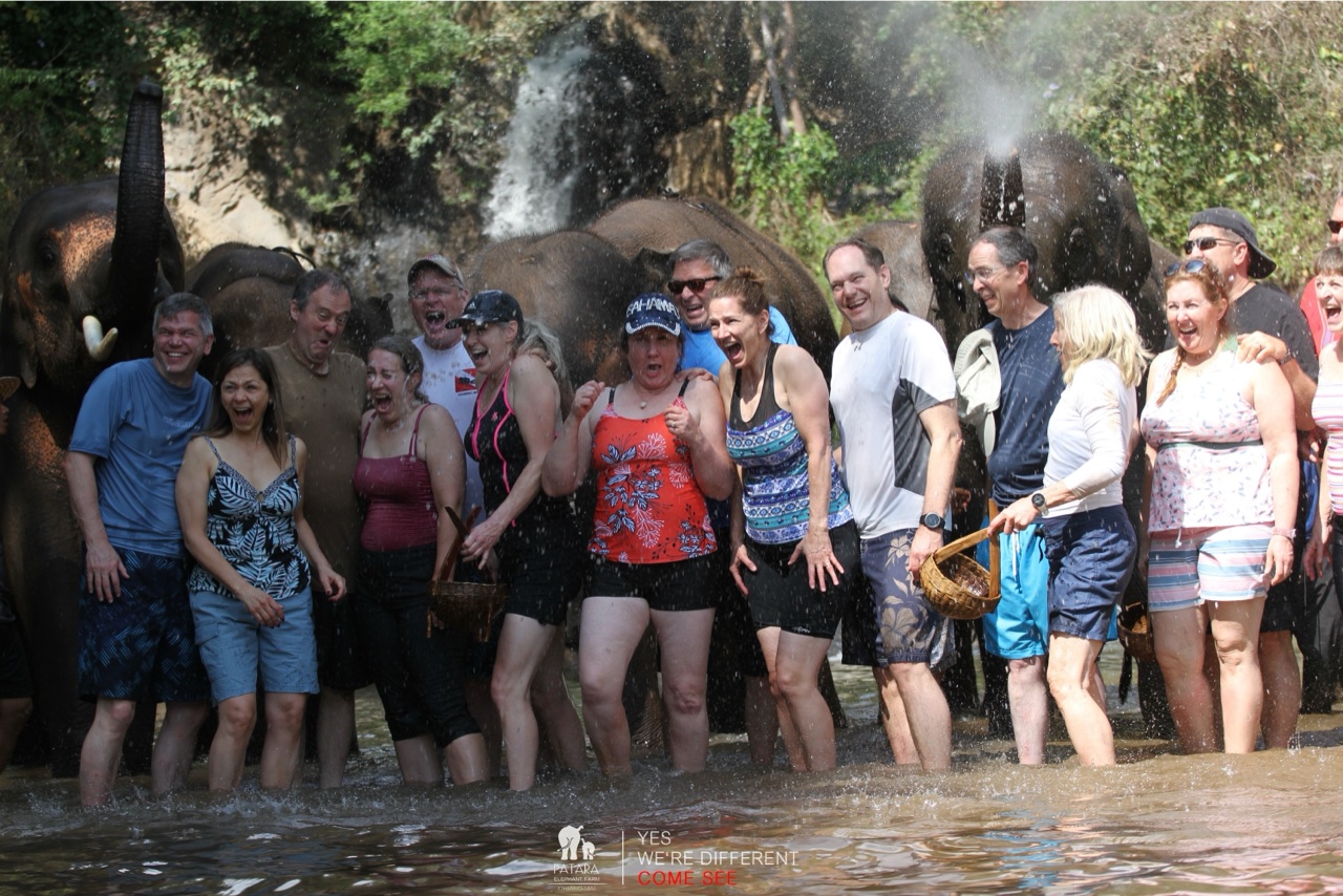 2026-01-24_13-08-08_Elephants_9687