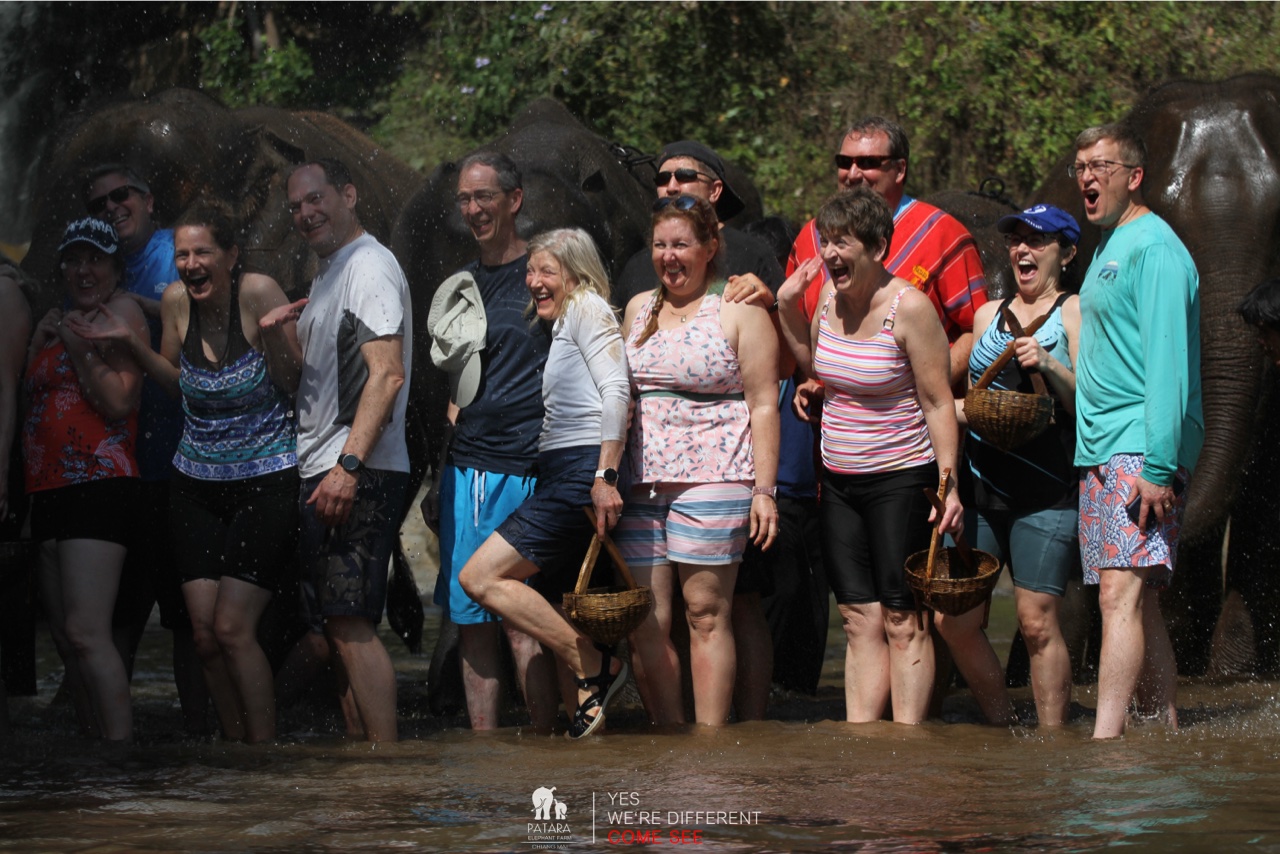 2026-01-24_13-08-12_Elephants_9689