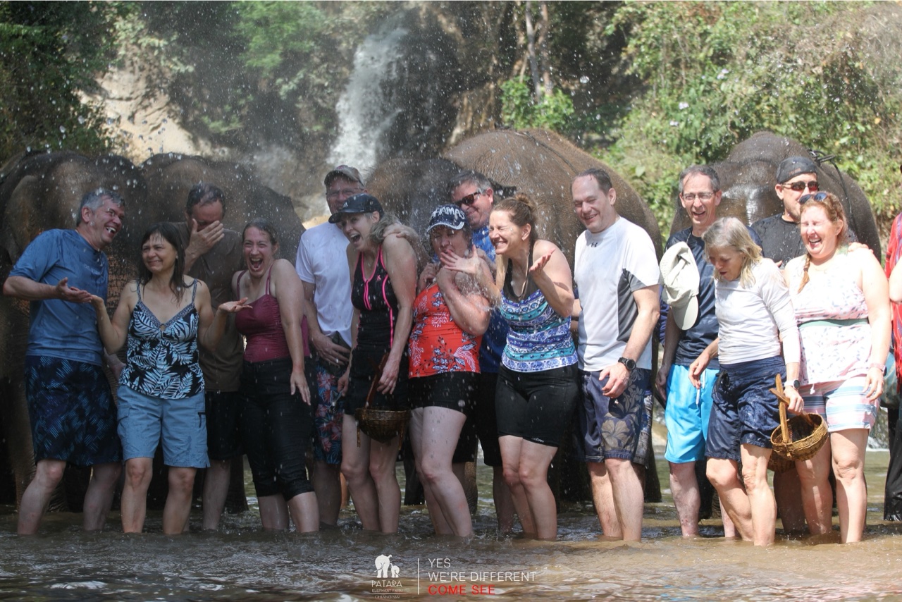 2026-01-24_13-08-14_Elephants_9691