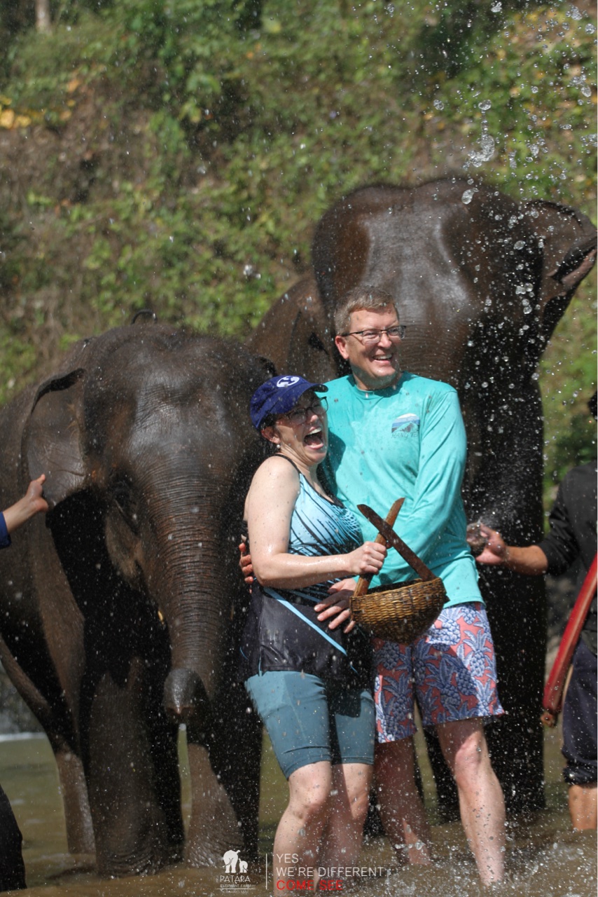 2026-01-24_13-08-47_Elephants_9700