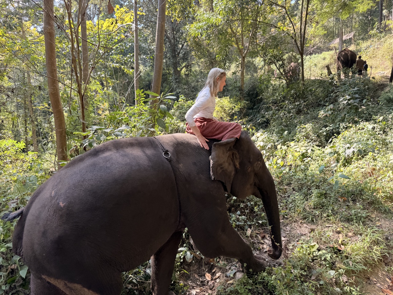 2026-01-24_13-17-13_Sharon_2279