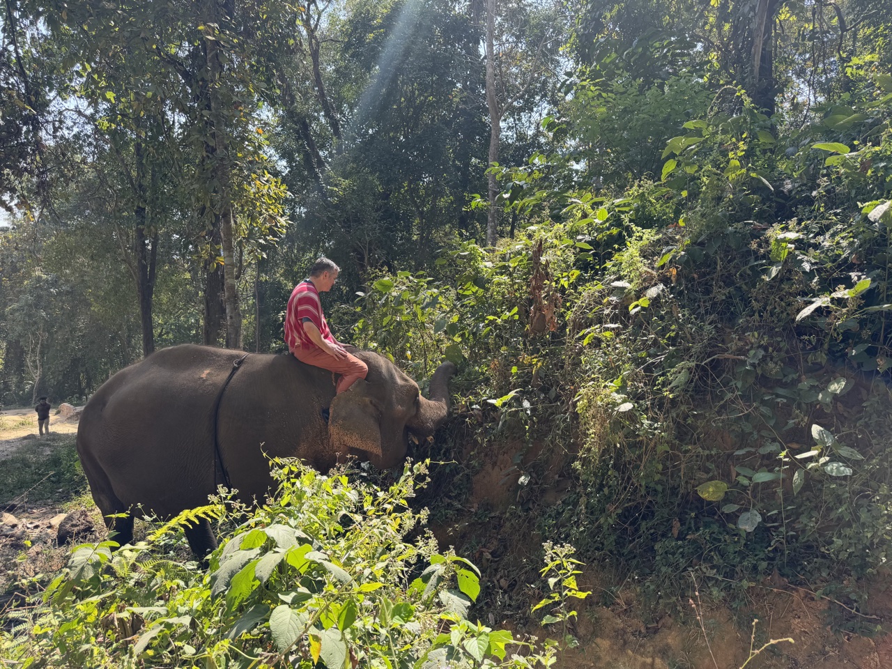 2026-01-24_13-17-37_Linette_5688