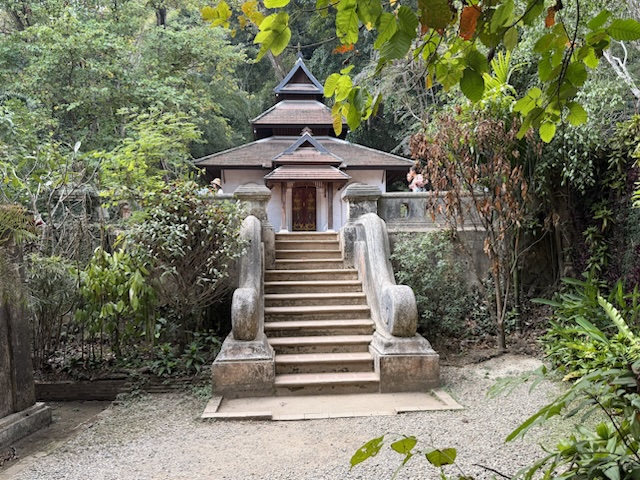 2026-01-25_15-05-13_Randy_4186