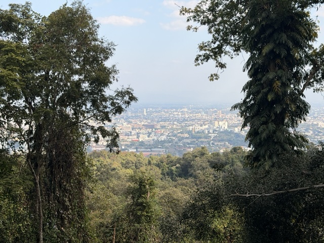 2026-01-25_15-13-50_Sharon_2437