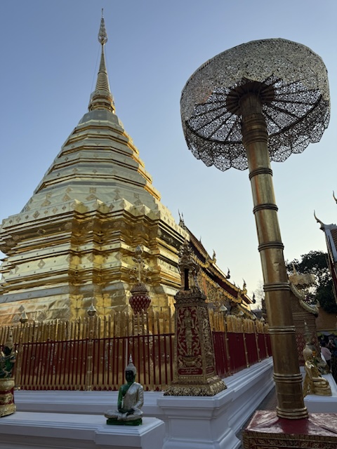 2026-01-25_17-35-08_Paul_1739