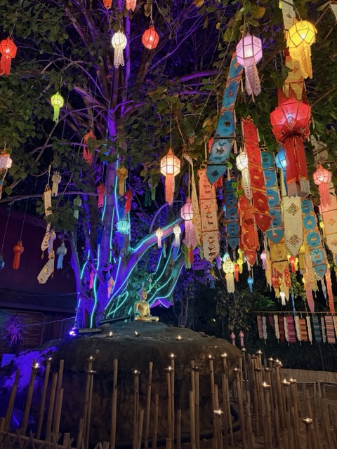 2026-01-25_21-25-37_Sharon_2564