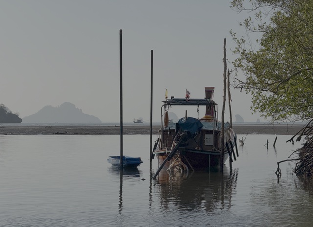 2026-01-27_08-00-18_Randy_4460