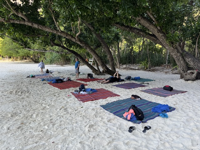 2026-01-27_08-39-28_Paul_1784