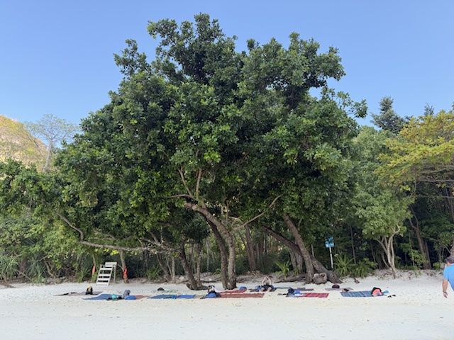 2026-01-27_08-42-40_Randy_4529