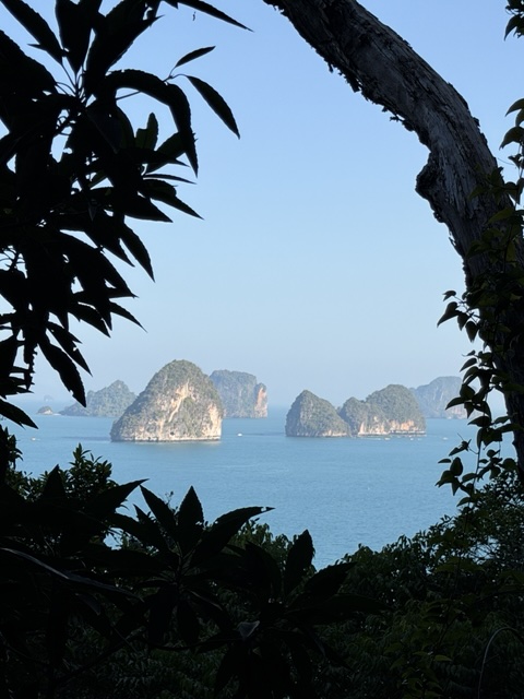 2026-01-27_09-01-40_Sharon_2669