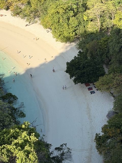 2026-01-27_09-10-39_Sharon_2682