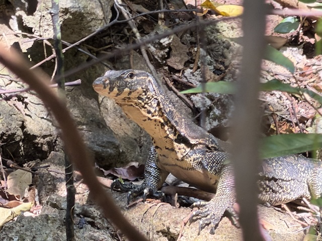 2026-01-27_11-16-42_Randy_4651