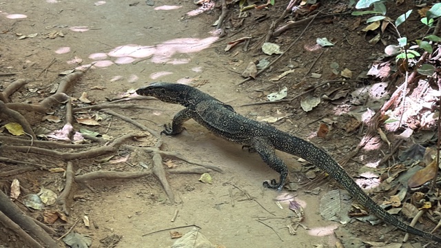 2026-01-27_11-18-19_Randy_4676