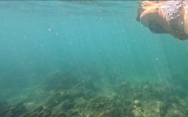 2026-01-27_12-41-00_Snorkeling