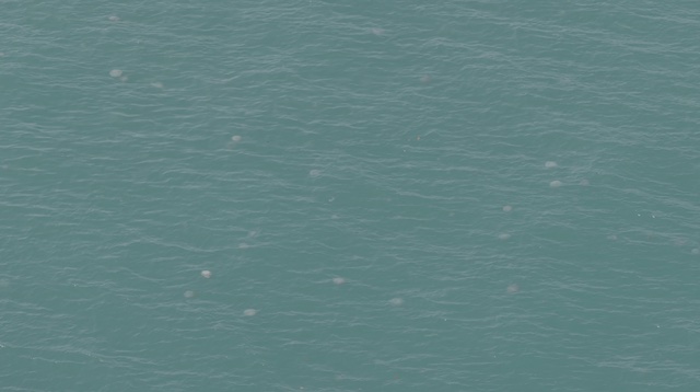 2026-01-27_15-06-21_Randy_4760