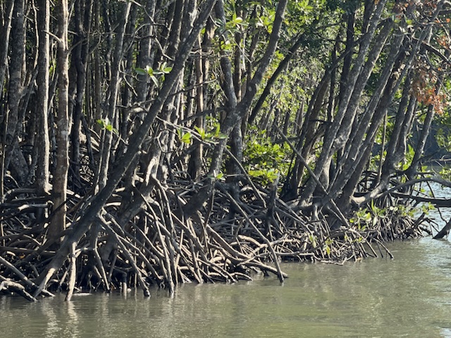 2026-01-27_16-04-56_Randy_4778