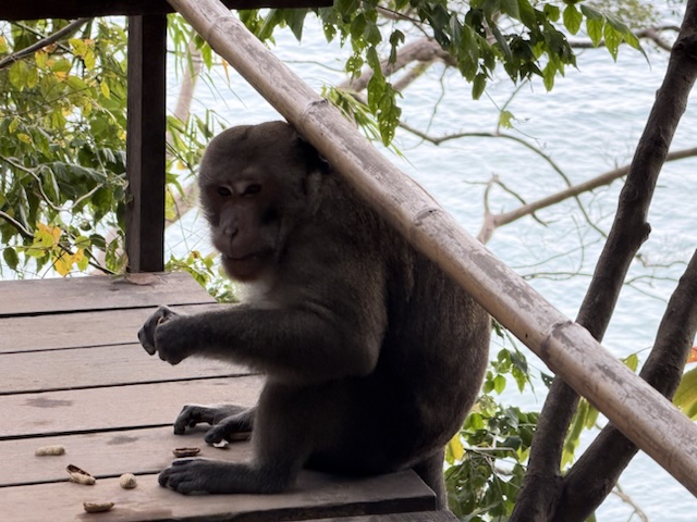 2026-01-28_08-21-48_Randy_4824