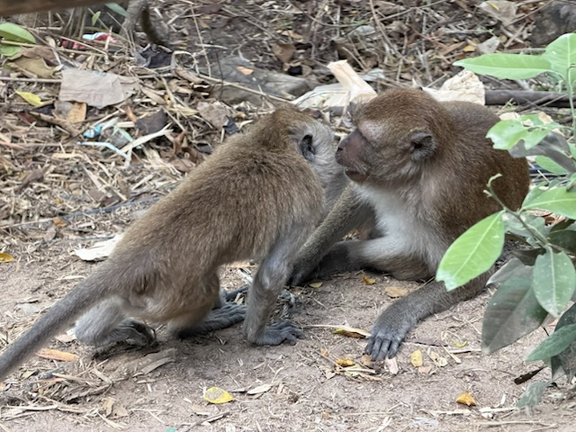 2026-01-28_08-26-02_Linette_5863