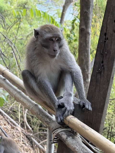 2026-01-28_08-28-04_Randy_4845