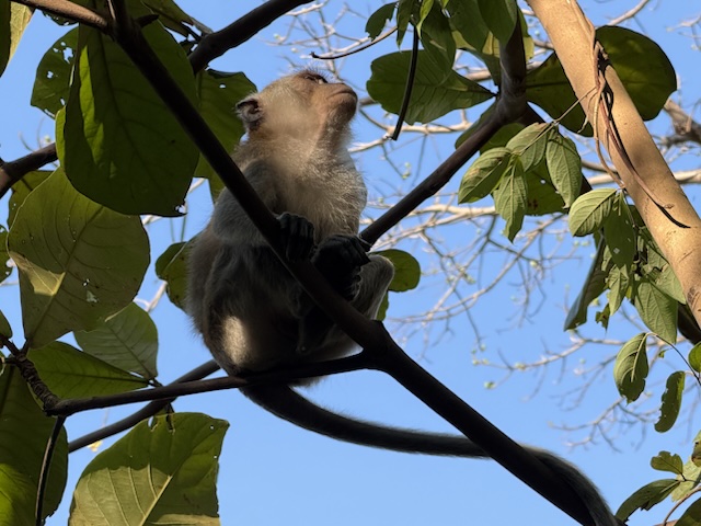 2026-01-28_08-47-33_Randy_4877