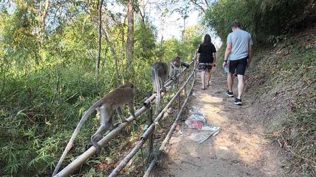 2026-01-28_08-49-32_Randy_4896