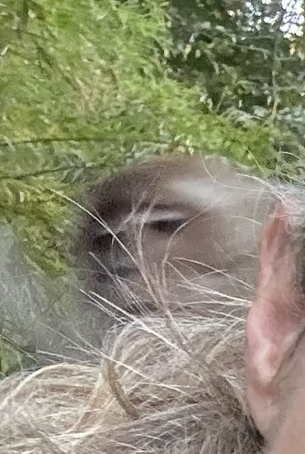 2026-01-28_08-49-56_SFCD9903