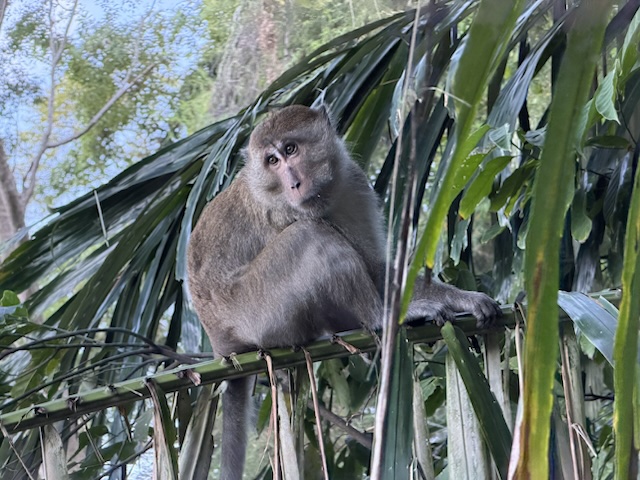 2026-01-28_08-56-52_Randy_4909