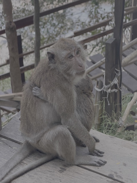 2026-01-28_08-57-11_Linette_5886