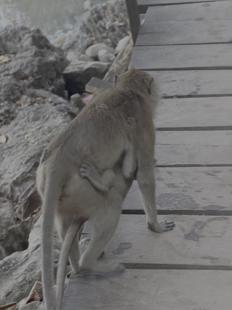 2026-01-28_08-58-49_Linette_5891