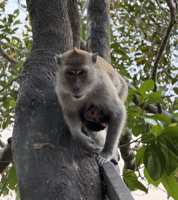 2026-01-28_08-59-19_Randy_4947