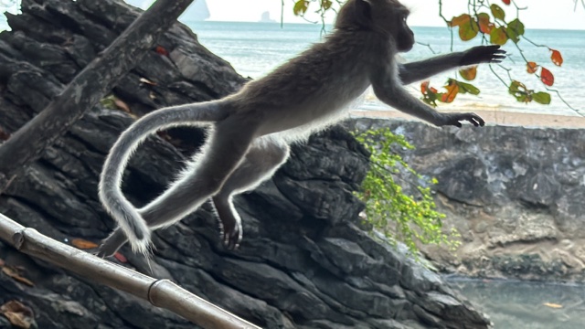 2026-01-28_09-03-16_Sharon_2905