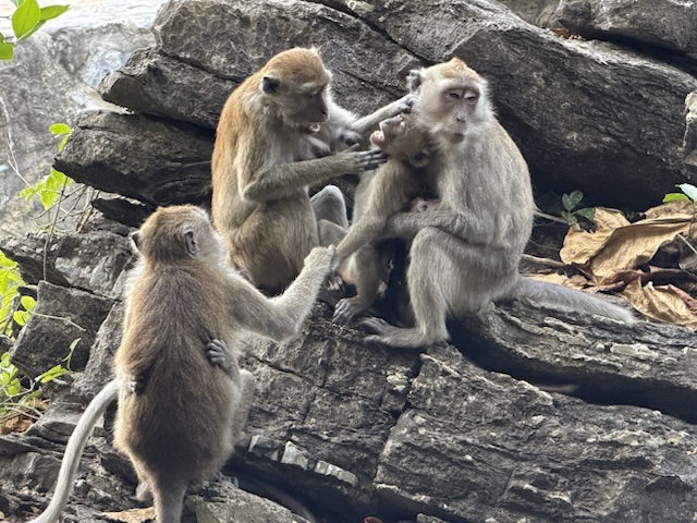 2026-01-28_09-05-46_Randy_4984