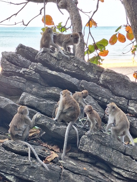 2026-01-28_09-16-48_Landon_386