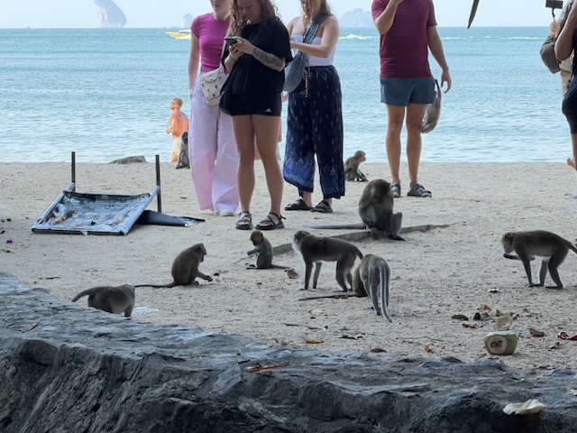 2026-01-28_09-19-00_Randy_4993