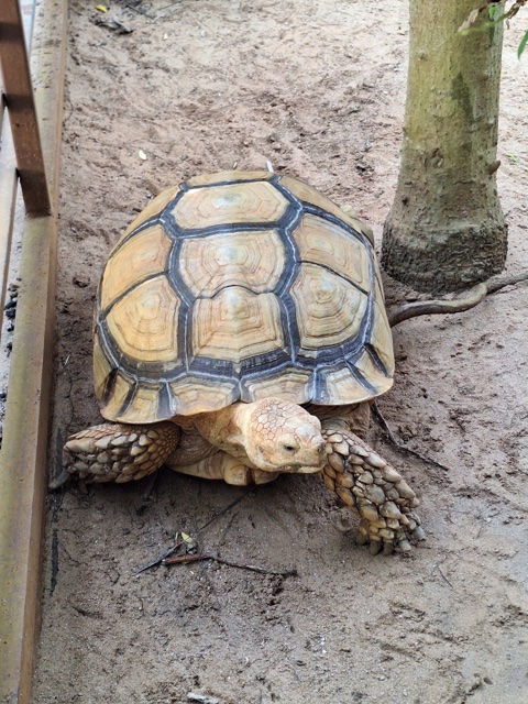 2026-01-28_10-57-26_Landon_389