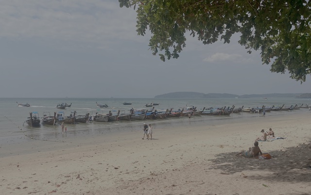 2026-01-28_11-40-01_Valerie_6527