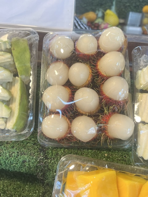 2026-01-28_11-47-48_Valerie_6529