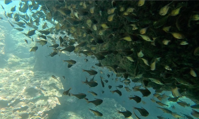 2026-01-28_15-00-39_Cave