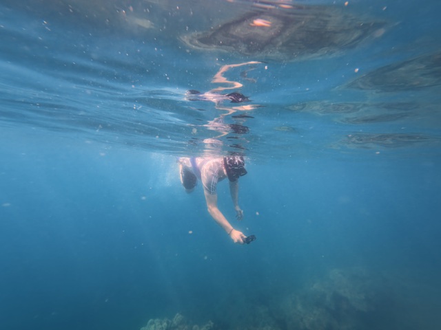 2026-01-28_15-10-30_Pirate_046