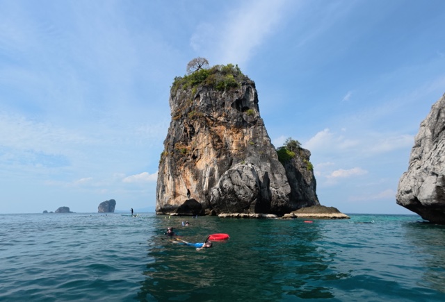 2026-01-28_15-13-19_Pirate_050