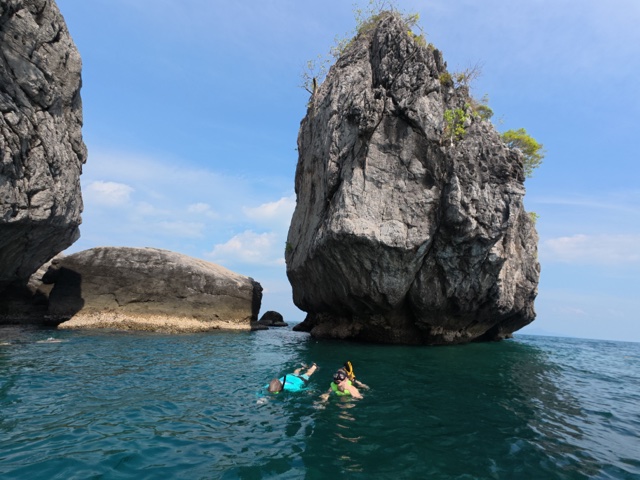 2026-01-28_15-16-47_Pirate_062