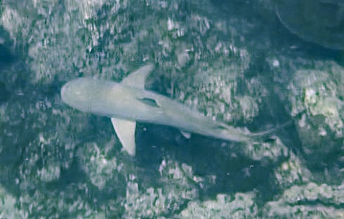 2026-01-28_15-40-00_Sharon_E2991