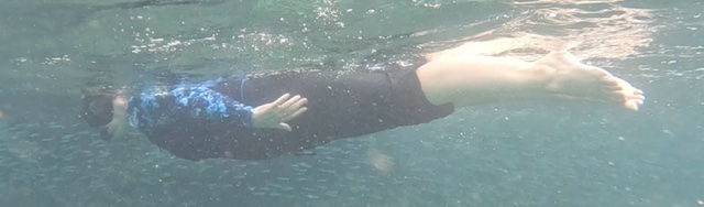 2026-01-28_16-20-00_Fish-20