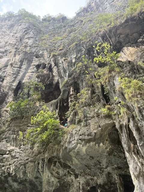 2026-01-28_18-13-23_Randy_5117