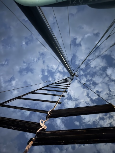 2026-01-28_19-06-37_Randy_5196