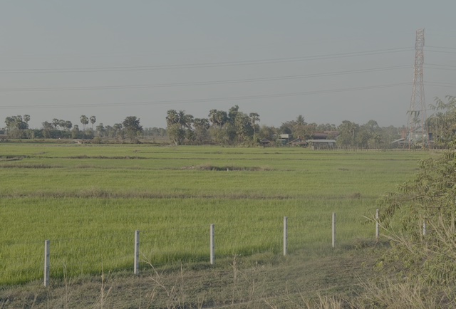 2026-01-29_17-08-53_Randy_5229