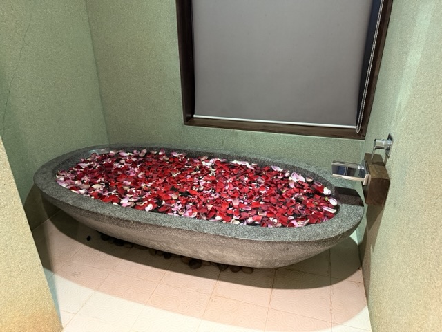 2026-01-29_18-14-03_Sharon_3132