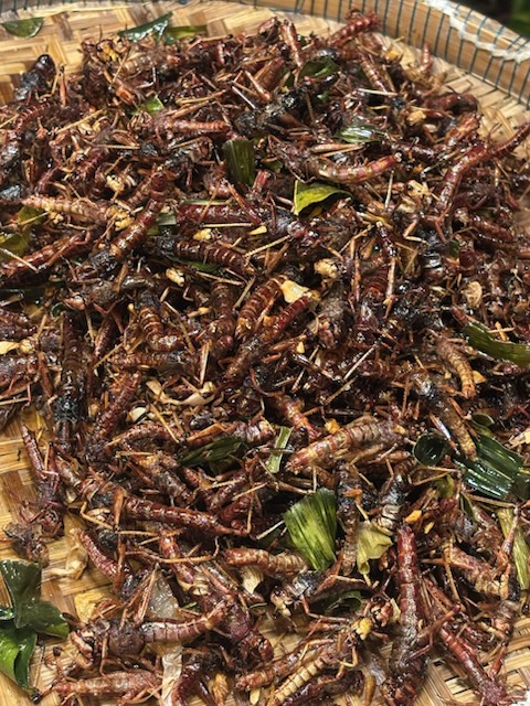 2026-01-29_18-41-54_Greg_1257