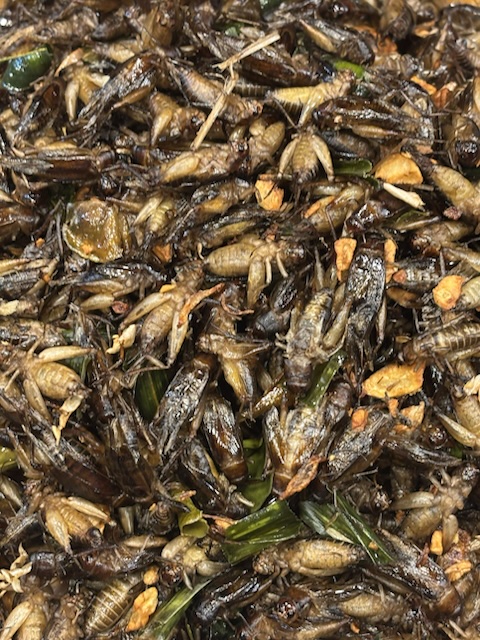 2026-01-29_18-41-59_Greg_1259