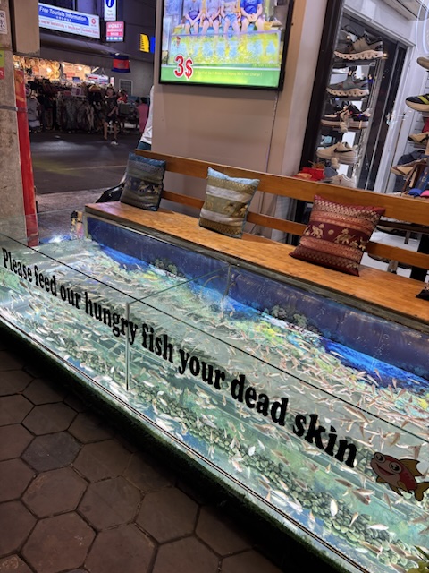 2026-01-29_19-01-54_Greg_1263